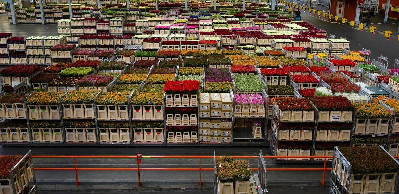 inventory turnover